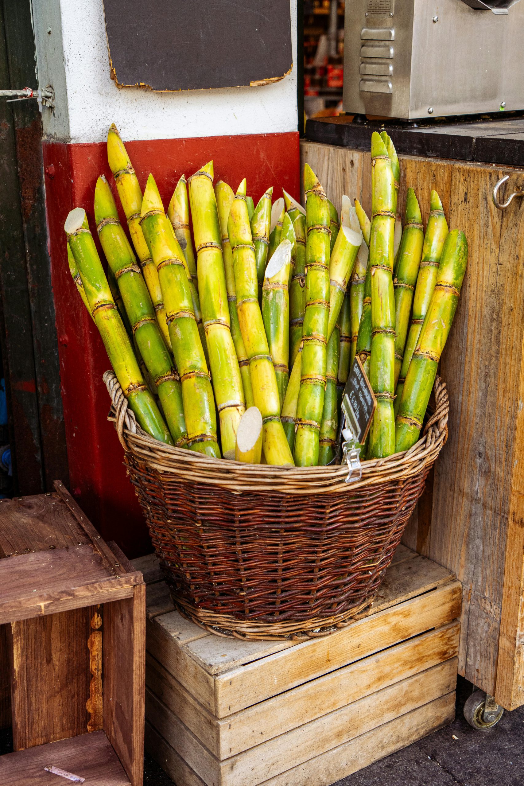 A vibrant basket of fresh sugarcane stalks displayed at an outdoor market.